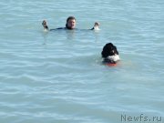 Превью фото № 133957