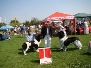 Превью фото № 133969