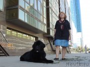 Превью фото № 134033