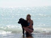 Превью фото № 134039