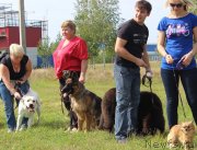 Превью фото № 134043