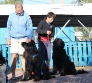 Превью фото № 134051