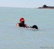 Превью фото № 134052