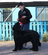 Превью фото № 134053