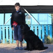 Превью фото № 134054