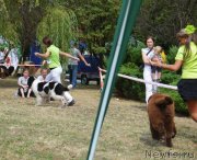 Превью фото № 134090