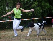 Превью фото № 134091