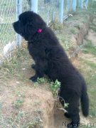 Превью фото № 134179