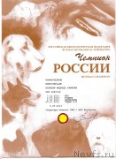 Превью фото № 134310