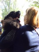 Превью фото № 134366