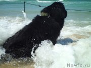 Превью фото № 134380