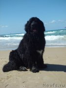 Превью фото № 134381