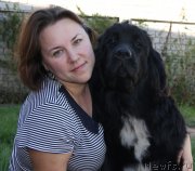 Превью фото № 134426