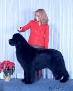 Превью фото № 134469