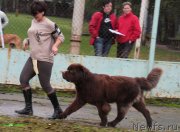 Превью фото № 134499