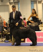 Превью фото № 134530