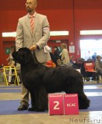 Превью фото № 134531