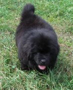 Превью фото № 134534