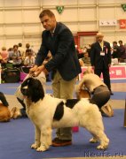 Превью фото № 134537