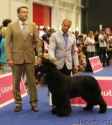 Превью фото № 134545