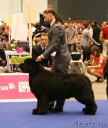 Превью фото № 134547