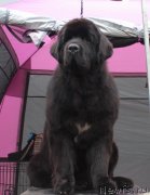 Превью фото № 134569