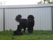 Превью фото № 134577