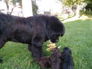 Превью фото № 134578