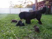 Превью фото № 134580