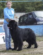 Превью фото № 134588