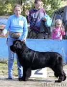 Превью фото № 134591