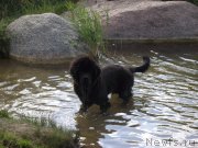 Превью фото № 134592