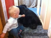 Превью фото № 134597