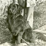 Превью фото № 1346