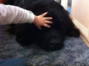 Превью фото № 134602