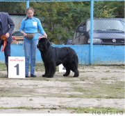 Превью фото № 134710