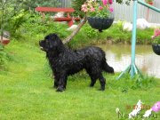 Превью фото № 134716