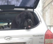 Превью фото № 134729