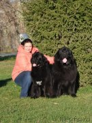 Превью фото № 134733