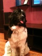 Превью фото № 134752