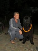 Превью фото № 134764