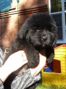 Превью фото № 134787