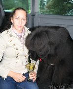 Превью фото № 134821