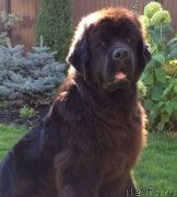 Превью фото № 134911