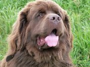 Превью фото № 134985