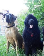 Превью фото № 134987