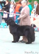 Превью фото № 135002