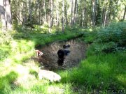 Превью фото № 135041