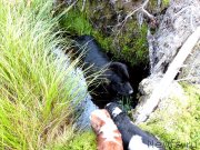 Превью фото № 135046