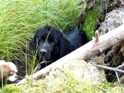 Превью фото № 135047